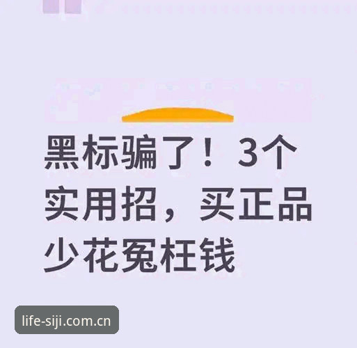 揭秘SIJI官方正品查询使用指南：技术评测教您四步避开假货陷阱